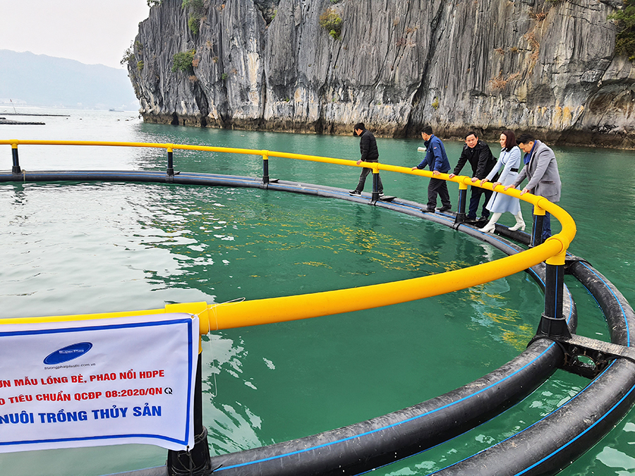 Đồng hành cùng ngư dân phát triển nghề bền vững tại Quảng Ninh